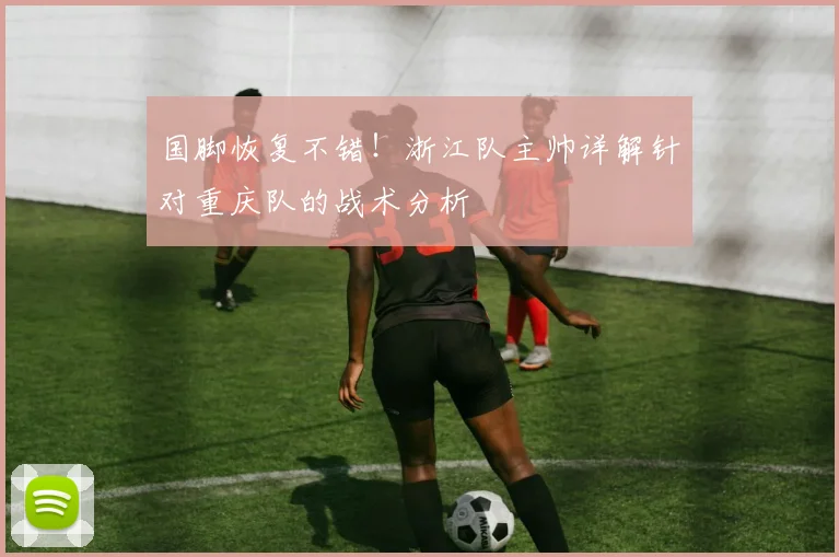 国脚恢复不错！浙江队主帅详解针对重庆队的战术分析